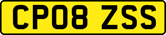 CP08ZSS