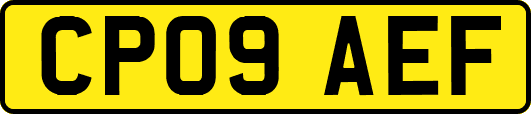 CP09AEF