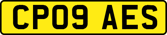 CP09AES