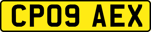 CP09AEX