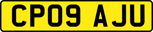 CP09AJU