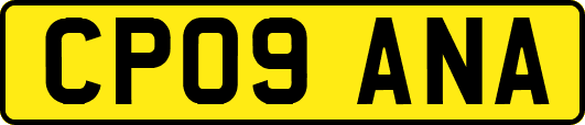 CP09ANA