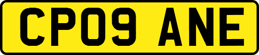 CP09ANE