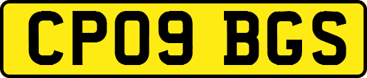 CP09BGS