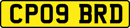 CP09BRD