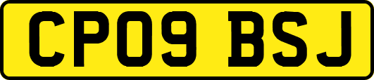 CP09BSJ