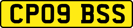 CP09BSS