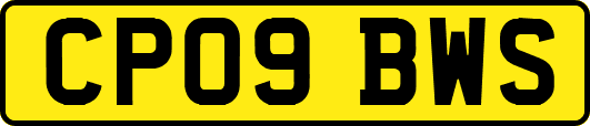 CP09BWS