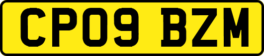 CP09BZM