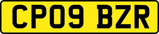 CP09BZR