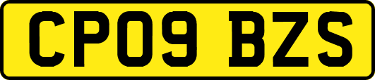 CP09BZS
