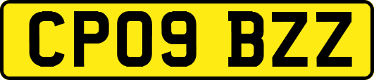 CP09BZZ