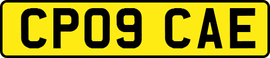 CP09CAE