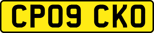 CP09CKO