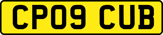 CP09CUB