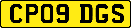 CP09DGS