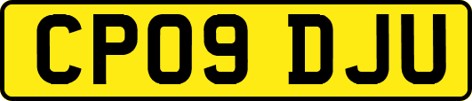 CP09DJU