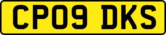 CP09DKS