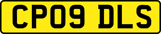 CP09DLS