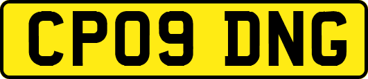 CP09DNG