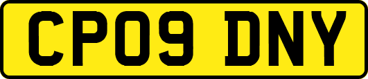 CP09DNY