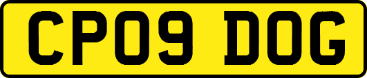 CP09DOG