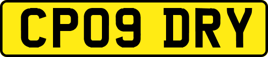 CP09DRY