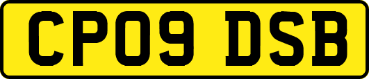 CP09DSB