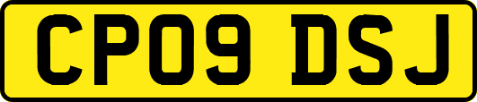 CP09DSJ