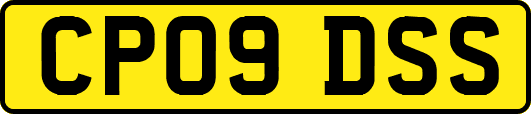 CP09DSS