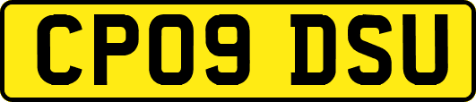 CP09DSU