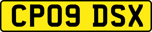 CP09DSX