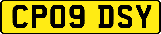 CP09DSY