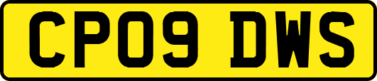 CP09DWS