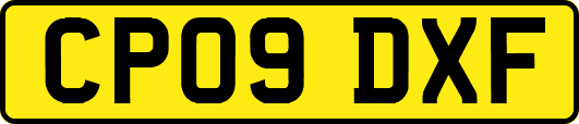 CP09DXF