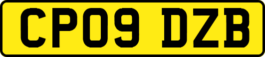 CP09DZB