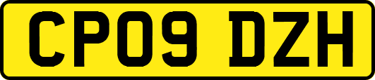 CP09DZH