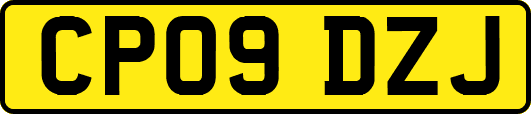 CP09DZJ