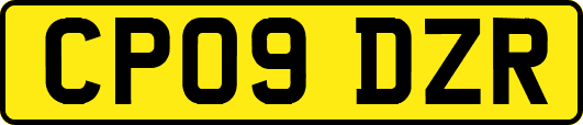 CP09DZR