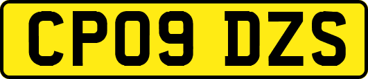 CP09DZS