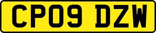 CP09DZW