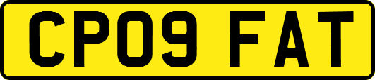 CP09FAT