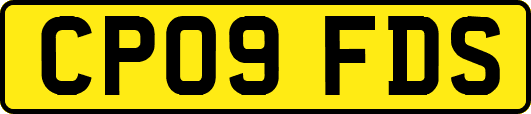 CP09FDS