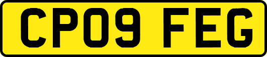 CP09FEG