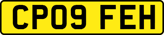 CP09FEH