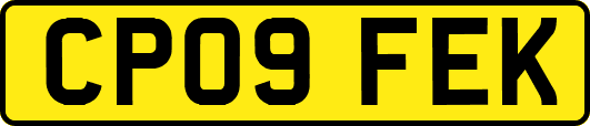CP09FEK