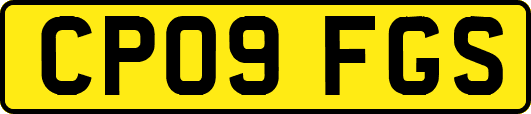 CP09FGS