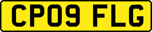 CP09FLG