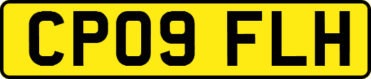CP09FLH