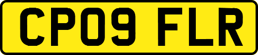 CP09FLR
